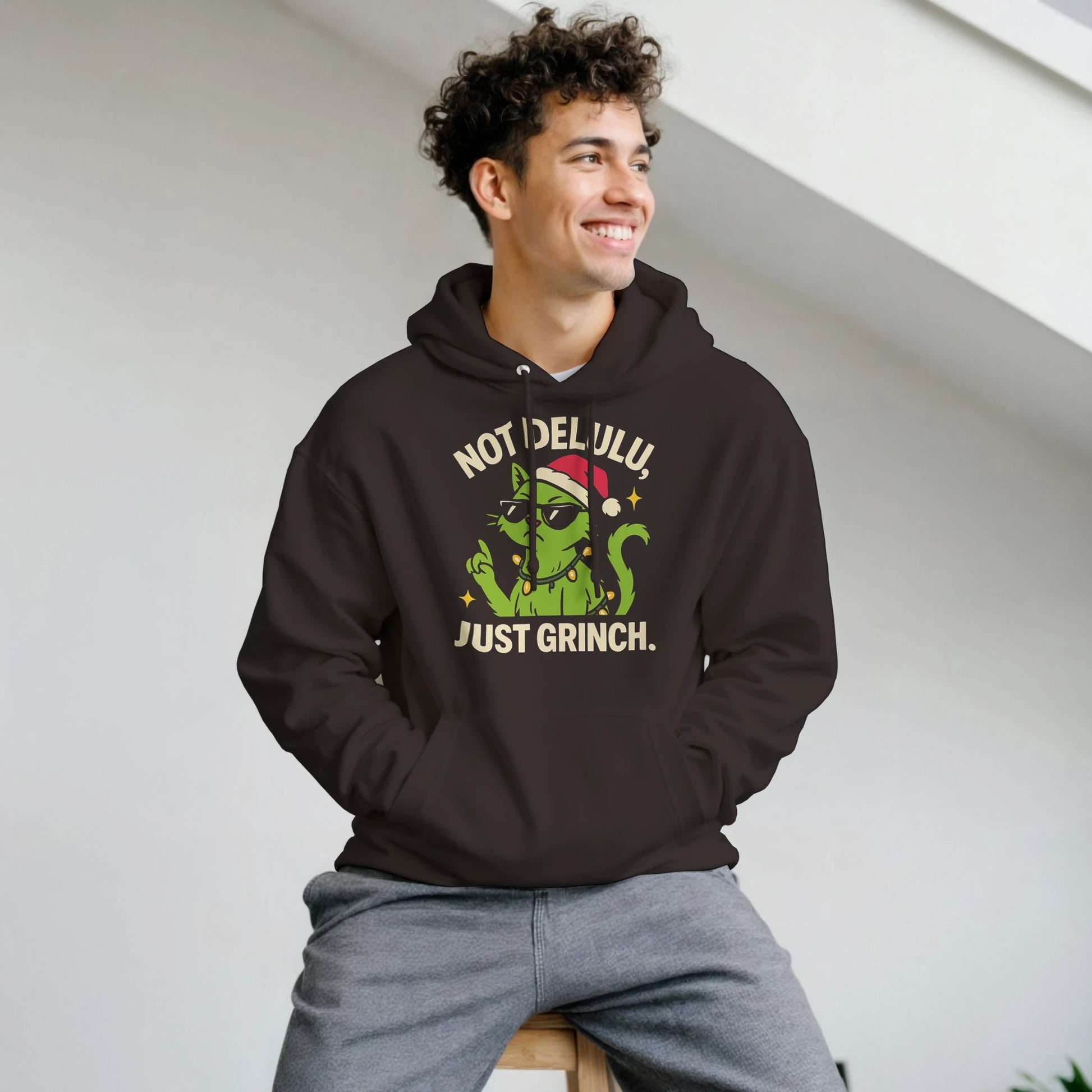 Person wearing the Not Delulu Just Grinch hoodie, showing relaxed fit and casual holiday streetwear style.